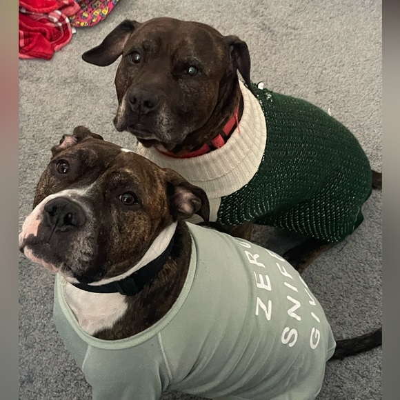 Meet your Posher, Courtney - Picture 3 of 3